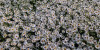 carter-obasohan-AOfKkyjMoEE-unsplash carter-obasohan-AOfKkyjMoEE-unsplash