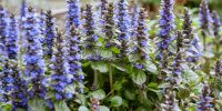 tatyana-rubleva-NOoCA_w67TY-unsplash tatyana-rubleva-NOoCA_w67TY-unsplash